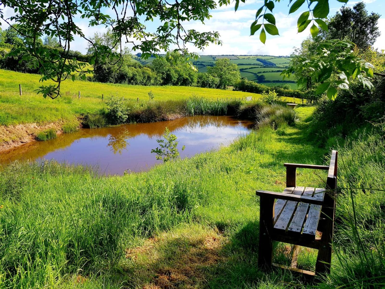 Eco Accommodation Cornflower Craven Arms Exterior foto